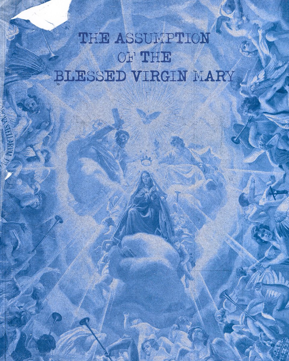 Where she went, we hope to someday arrive. 

Today we celebrate this joyful feast day of the Assumption—Mary’s eternal union, body and soul, with her Son in the glory of heaven. 

She anticipates the resurrection of you and all members of Jesus’s body. 

#lifeteen
#TheAssumption