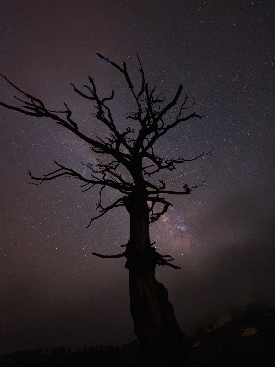 Dolunay sebebiyle Perseid izleyemeyenlere, Mayıs ayından Eta Aquarid gelsin🌌☄️ Sandras Dağı, 2025