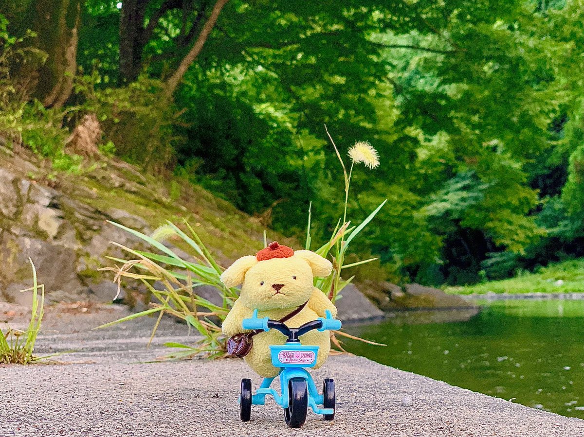 駆け巡る、夏૮ ˆﻌˆ ა🏖🚲