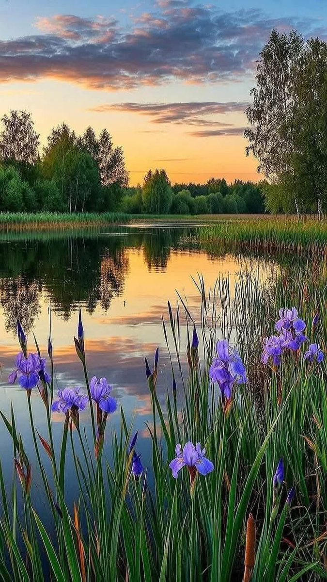 حرس اور ہوس یہ دو ایسی چیزوں کا نام ہے جس میں سے ایک کا بھی انسان میں ہونا۔۔۔۔انسان کو برباد کر دیتا ہے!
✨😍
شام بخیر.