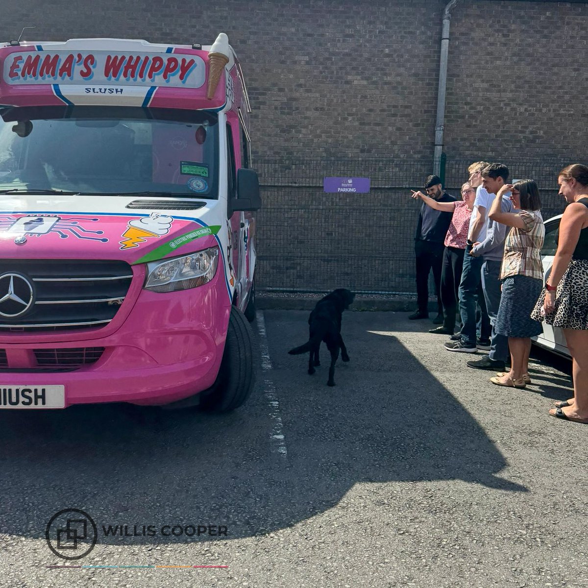 Willis_Cooper's tweet photo. Echo heard there was ice cream. Echo was right. https://t.co/ZUOwQ0A55x