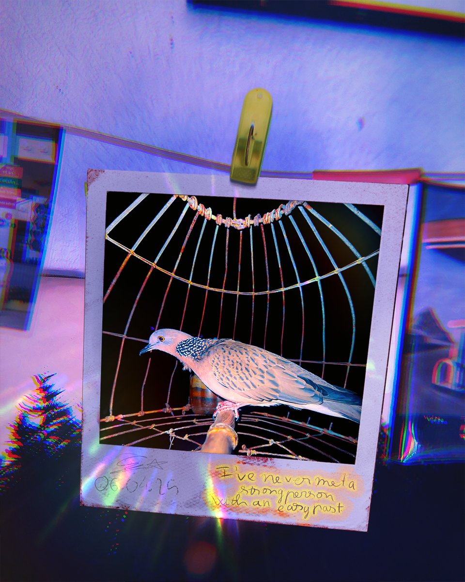 threetartz's tweet photo. GM's House: The Animal🐶🐦

Birdy 🪽 (A Polaroid in My Room)

"This polaroid captures the moment when roles reverse &amp; when the bird's unwavering gaze transforms us from observer to the observed."

2 editions ONLY - 20 tezos each
Available @objktcom
👇🏼🔗

#NFTCommunity #threetartz https://t.co/7CEISCy4yM