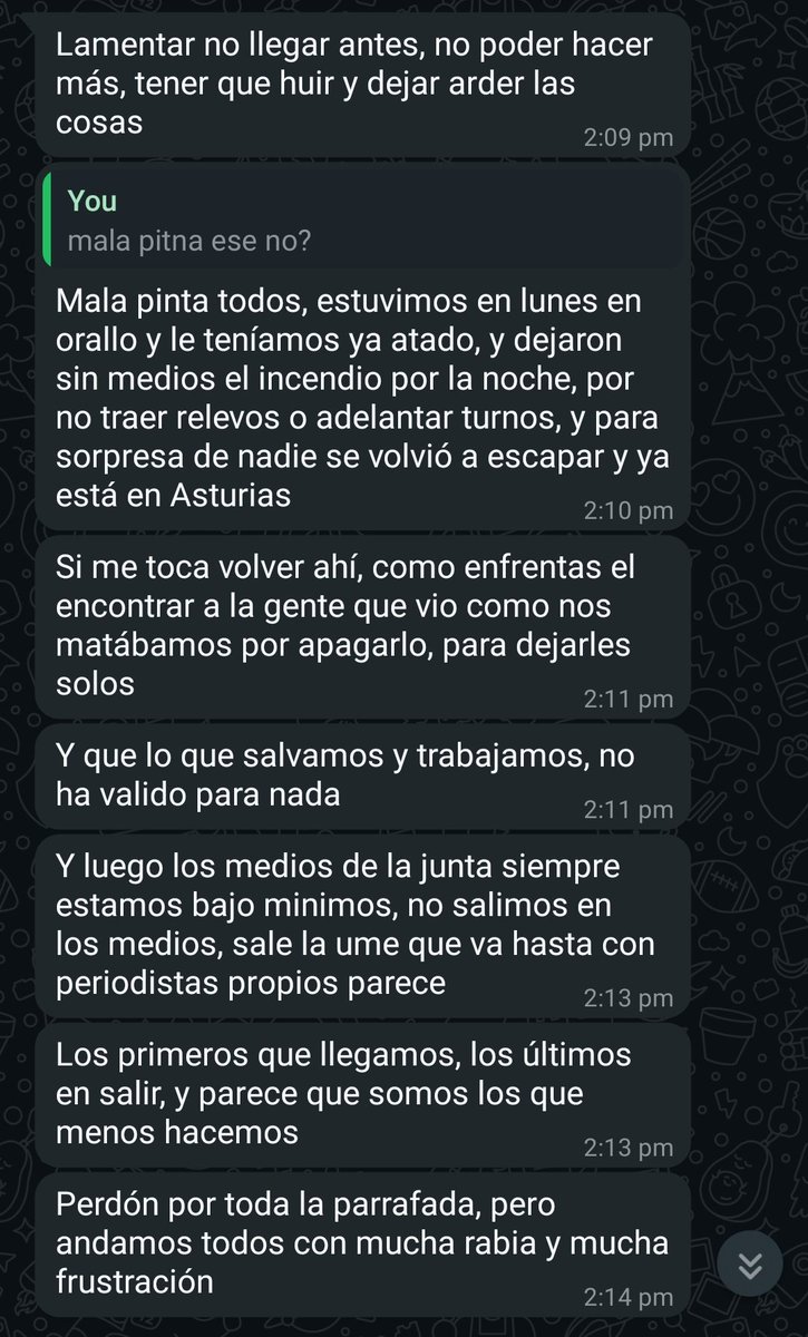 Más miserias del dispositivo de la Junta de Castilla y León. Otra vez bomberos parados, ahora en #IFBarniedoDeLaReina. Están esperando órdenes en Cistierna mientras se quema la montaña y la zona de Riaño.
"Lo que salvamos y trabajamos no ha valido para nada".
