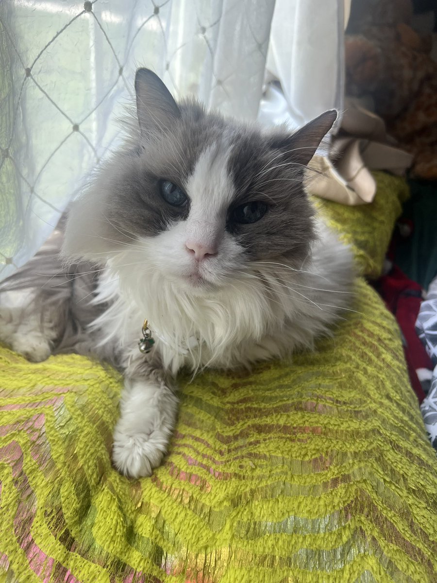 OuterOrange 🍊@ BCS Philly tweet media