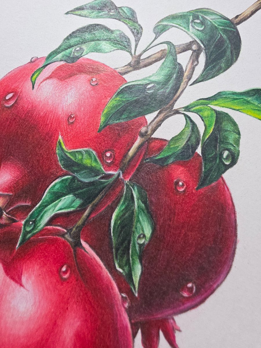 와 ㅆ 고1땐가 색연필로 사진모작한건데 쩌네