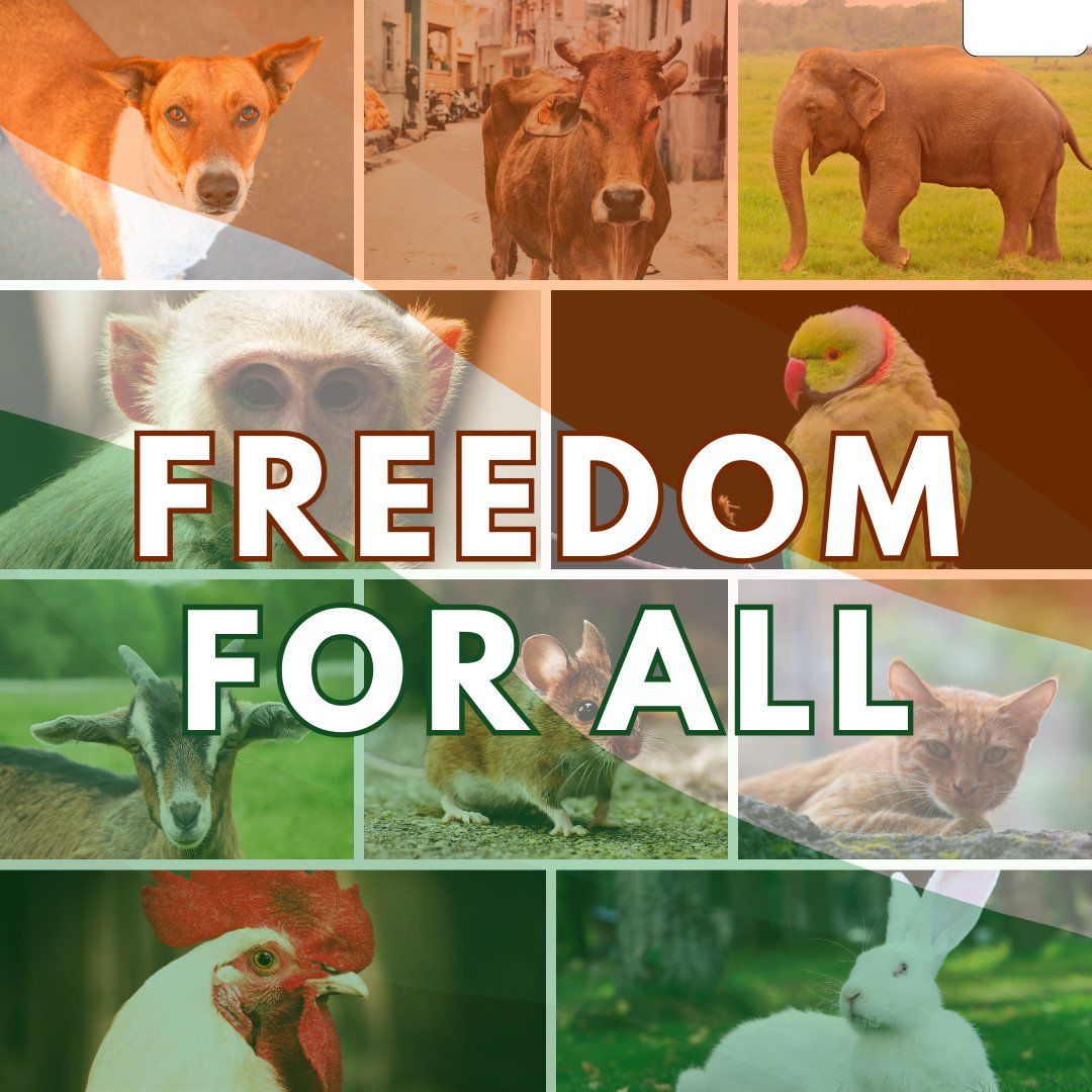 Uncommon_INDIA's tweet photo. Freedom for all ♥️🇮🇳🙏 https://t.co/oOvAEFGuLC