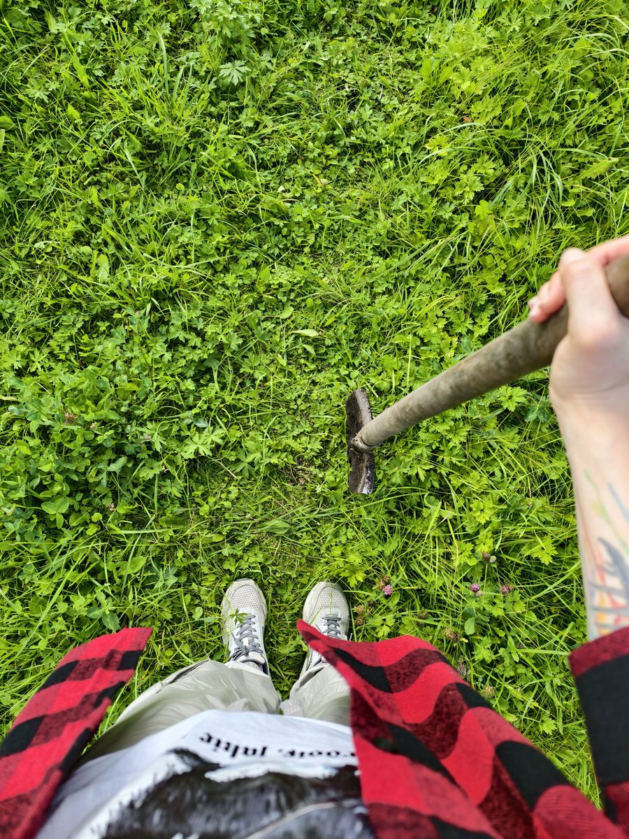 Привет, твитор, как дела в офисе?