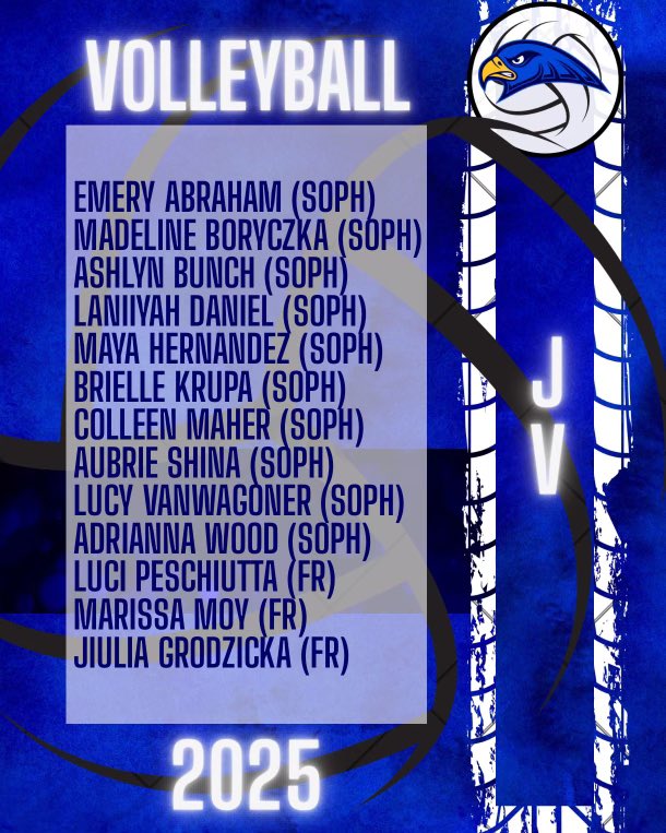 Rochester Falcons Volleyball Program tweet media