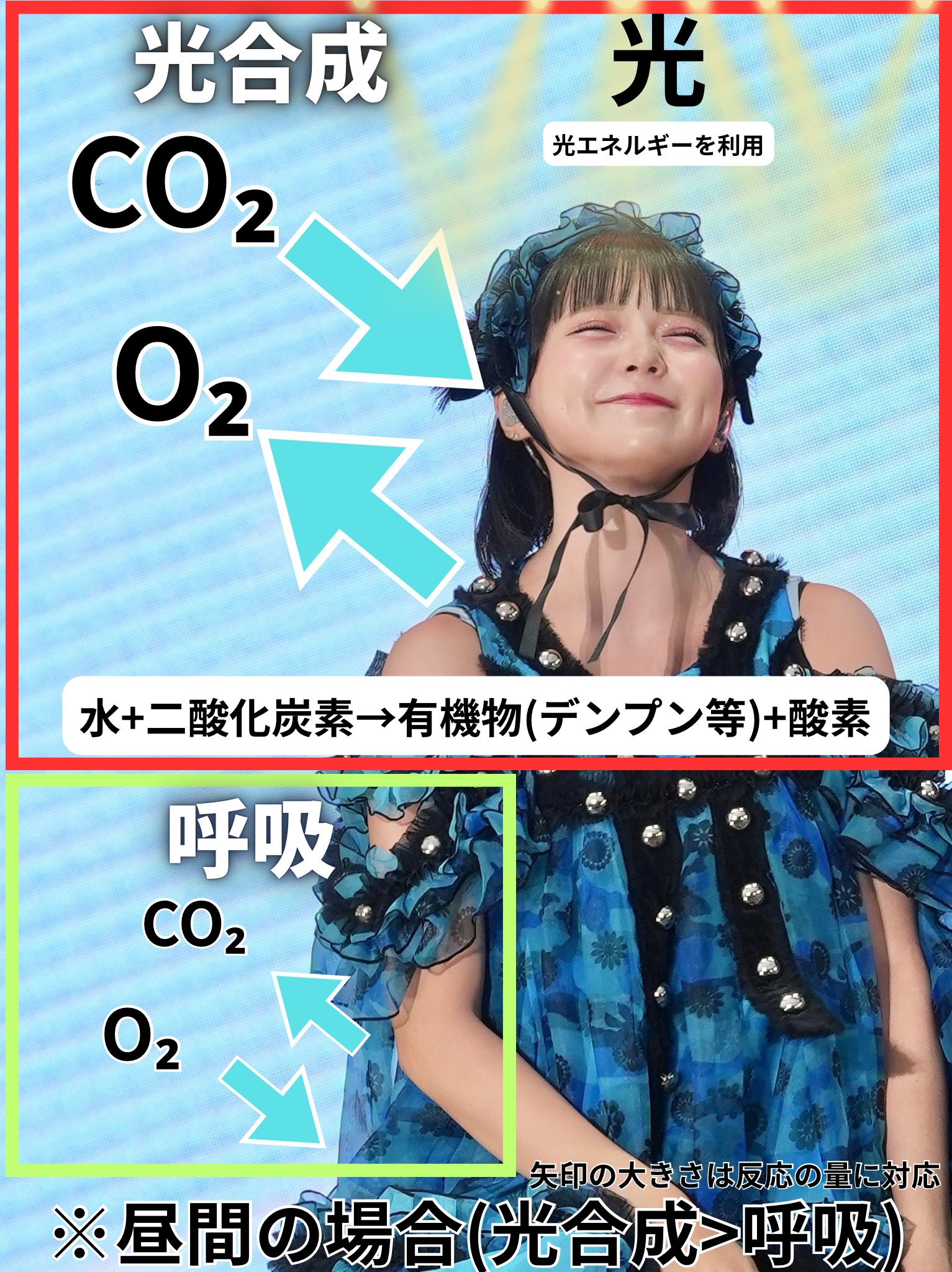 ♡ やまちゃん 様、専用♡※他の方はご遠慮ください‼️ やまちゃん on X: 