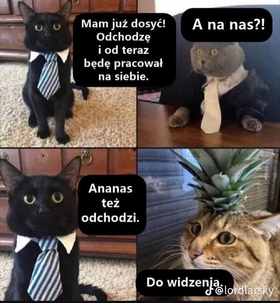 kuzyn od jebanka (@_xsyzrk08) on Twitter photo 