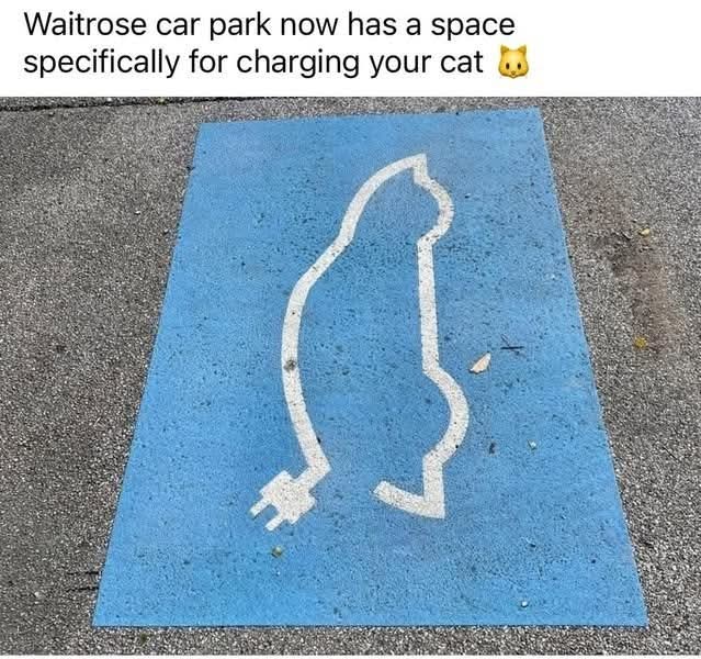 Amazing facts! (@factsofw0rld) on Twitter photo 