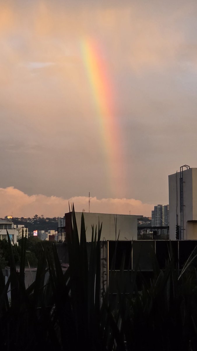 SergioSarmiento's tweet image. Amanecer con arcoíris en Cdmx.