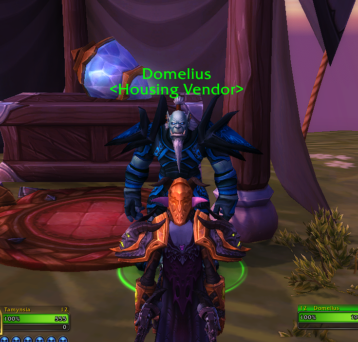 daan_elfring's tweet photo. @Wowhead There is also a Housing Vendor on the platform where the infinites are https://t.co/qC4Nigdwny