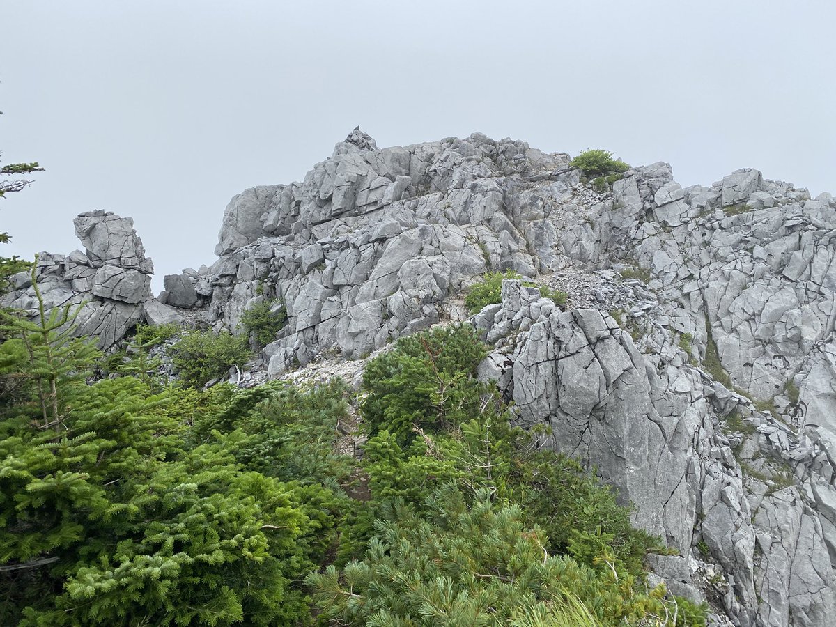 vava_avava's tweet photo. Mt.TEKARI
2591m https://t.co/HFkzdPpsnR