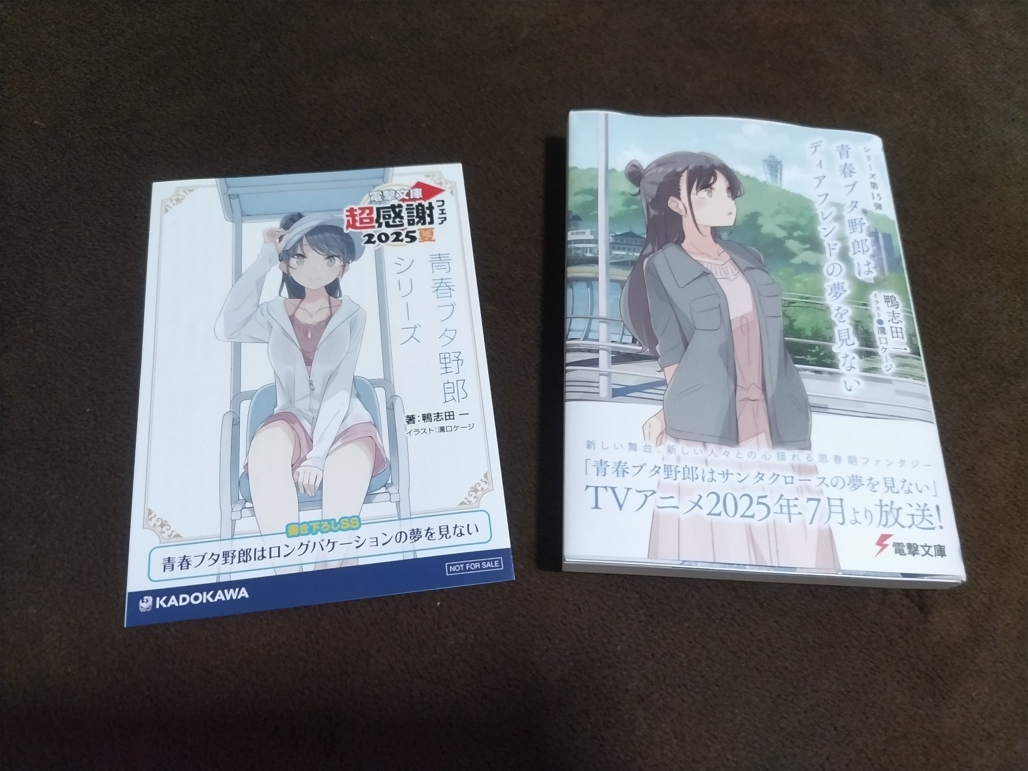 電撃文庫超感謝フェア2017書き下ろしSS 青春ブタ野郎はわくわくの夢を見る 青春ブタ野郎はわくわくの夢を見る 購入特典 電撃文庫超感謝