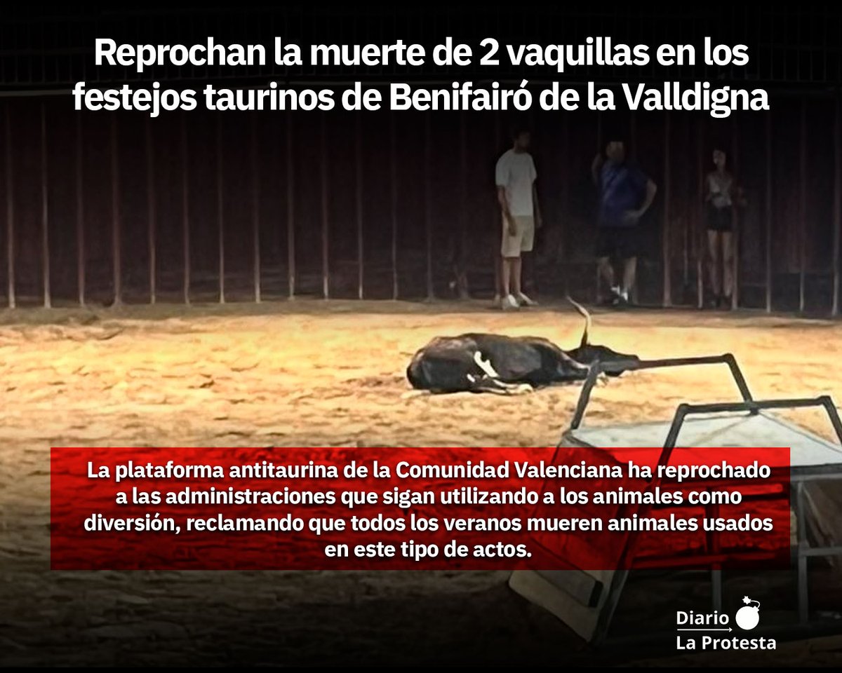 ‼️🐂 Reprochan la muerte de 2 vaquillas en los festejos taurinos de Benifairó de la Valldigna

La plataforma antitaurina de la Comunidad Valenciana ha reprochado a las administraciones que sigan utilizando a los animales como diversión

📰laprotesta.es/2025/08/15/rep…