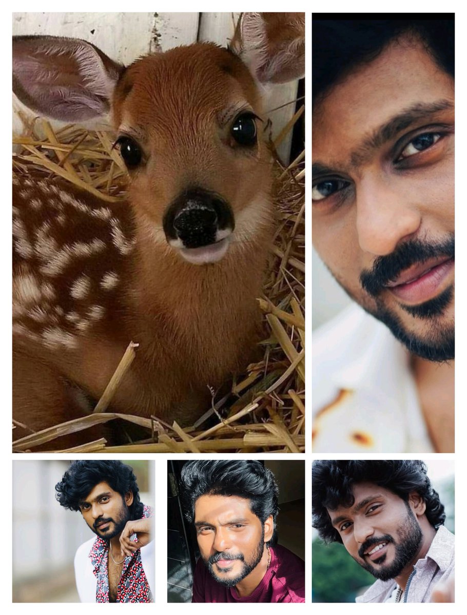 Captivated
#raanav
<a href="/actorraanav/">Raanav</a>