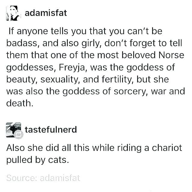 osirrii's tweet photo. If I were religious, THIS is who I'd worship. A chariot pulled by cats? Yes please. 🤣 https://t.co/hvoEwDRxw7
