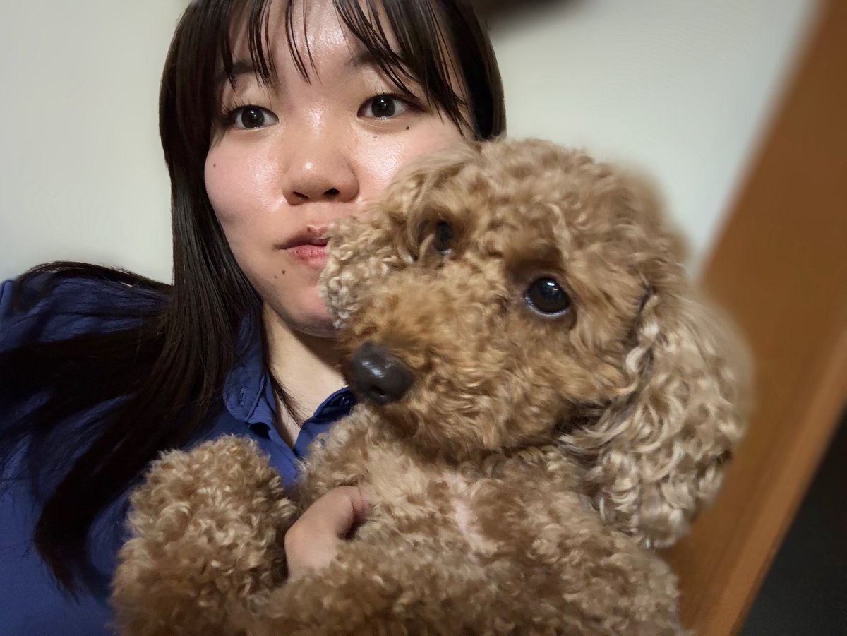 仕事おわりの汗だくでごめん、むぎちゃ🥲
4歳の誕生日おめでとう🐶💗🎉