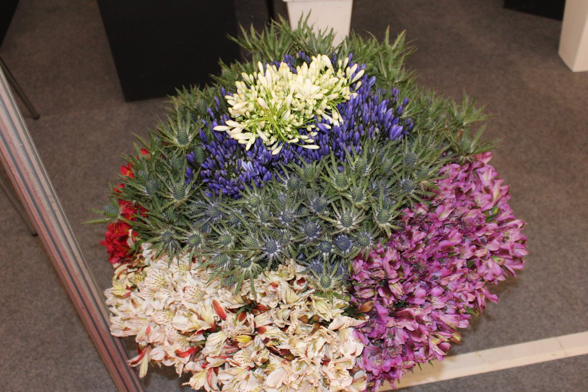 🚨 Kenya’s Sh100B flower export sector warns a new 2% KEBS levy could cripple competitiveness. “Misguided and economically damaging,” says KFC CEO Clement Tulezi. 🌸
floriculture.co.ke/kebs-levy-coul…