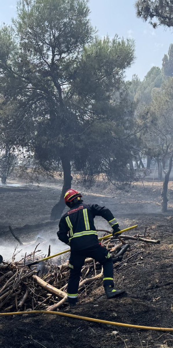 Vox_Pozuelo's tweet photo. 🆘 Hoy, incendio en las inmediaciones del Monte de Pozuelo (#PozueloDeAlarcón).
Llevamos meses advirtiendo de su abandono y la falta de mantenimiento. Las abundantes lluvias han aumentado el riesgo y la inacción del PP lo agrava.
Urge limpieza y más vigilancia. https://t.co/O2b5bbSZJ0