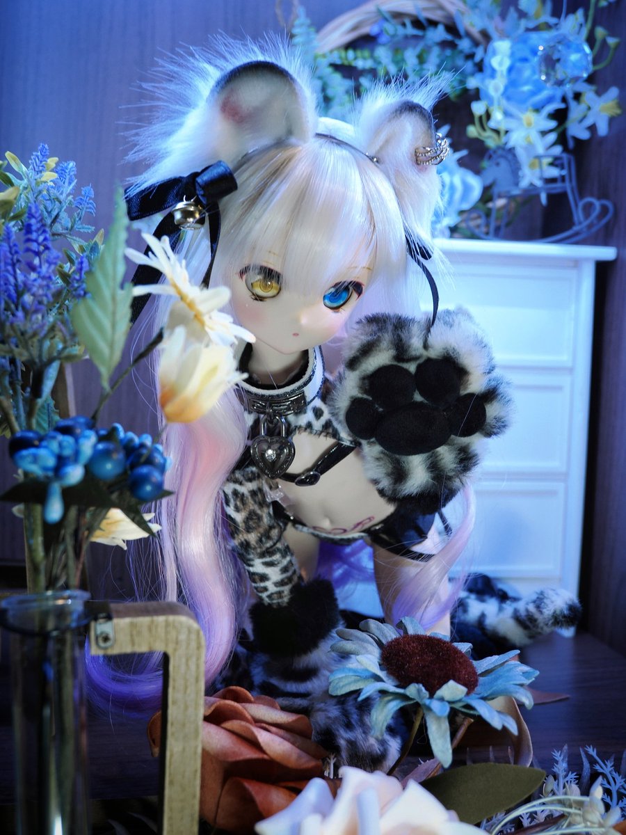 #性癖を晒すと理解したフォロワーがいいねを押す