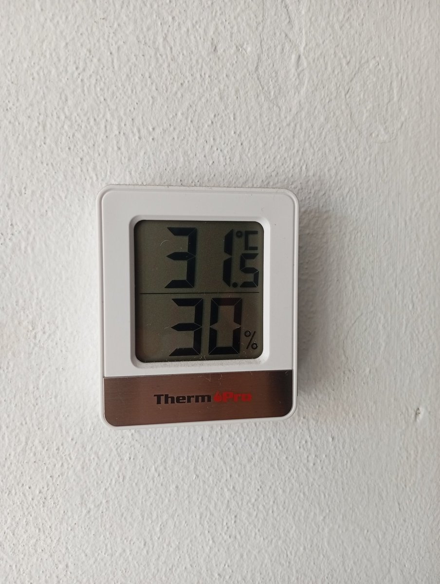 Felix Perez 🇪🇦 💚 tweet media