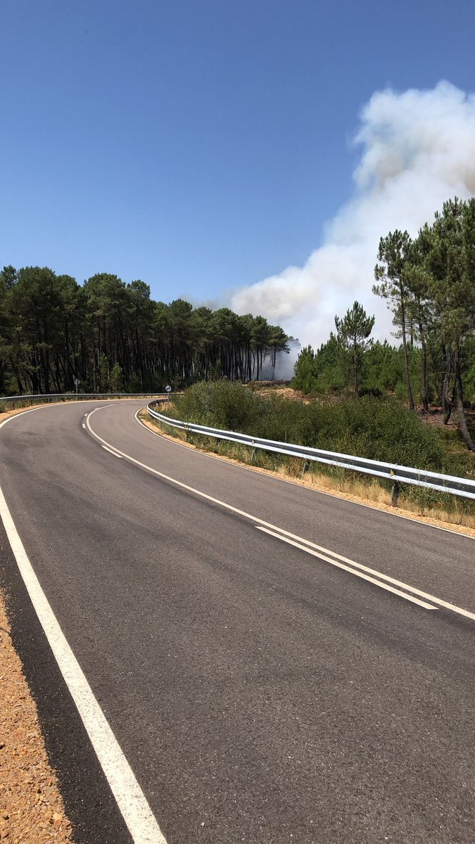 Azulanubis tweet media