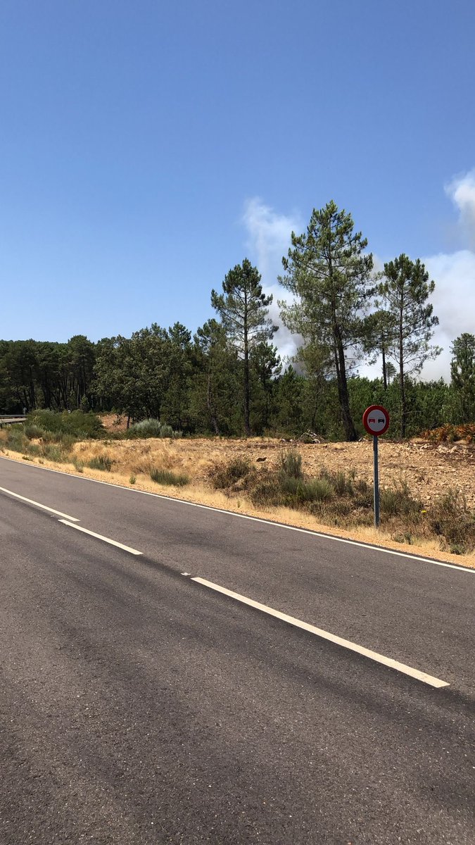 Azulanubis tweet media