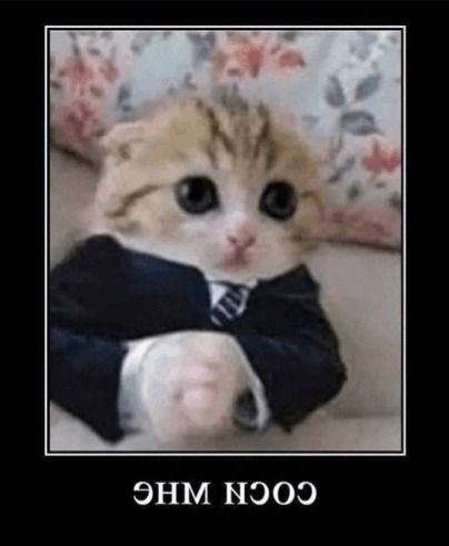 бедни бедни уна квексле (@eerswqq) on Twitter photo 