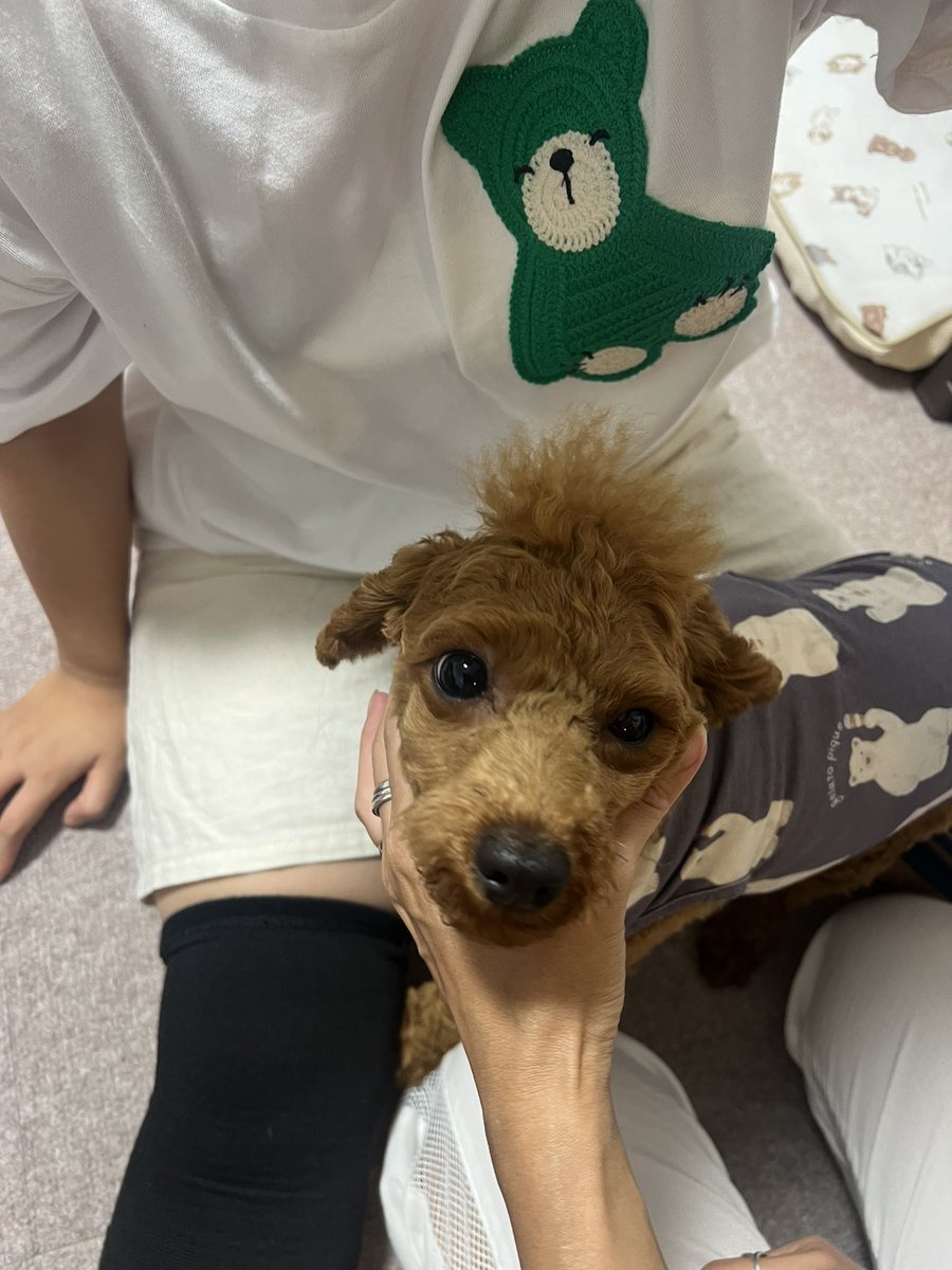 どっちが本物でしょう？🤣🤣🤣