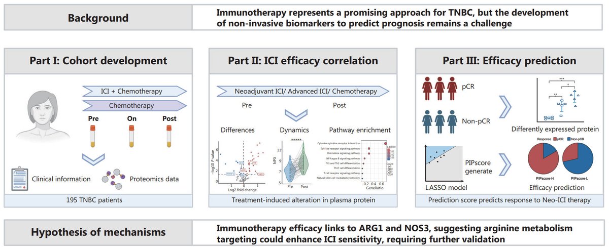 Published in Cancer Biology &amp; Medicine, researchers from Fudan University Shanghai Cancer Center and Shanghai Institute for Biomedical and Pharmaceutical Technologies unveiled a plasma proteomics study of 195 TNBC patients.
#Immunotherapy
Details: doi.org/10.20892/j.iss…