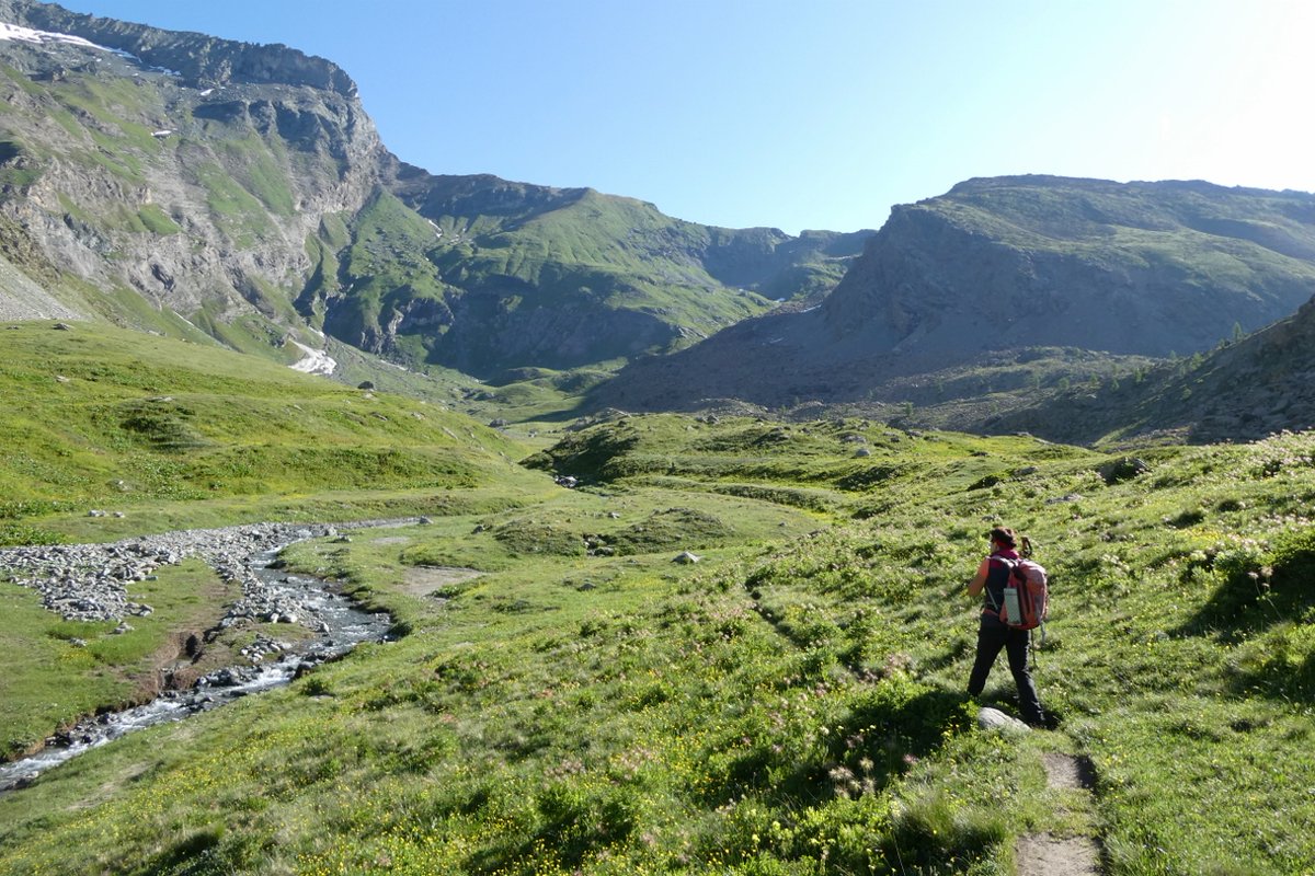 Beppeley's tweet image. Sx: 24/06/25
Dx: 14/08/25

Pian Ciamarella (2100 m ca.) - Alta Val d&apos;Ala -  #VallidiLanzo #AlpiGraie #Piemonte
lastampa.it/cuneo/2025/08/…