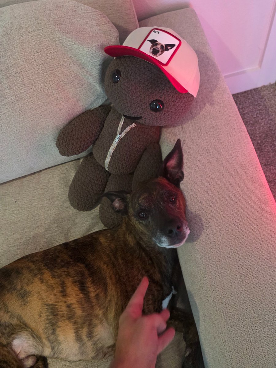 HI. THIS IS YOUR FAVORITE STREAMER, CHILLEDCHAOS. 

I JUST WANTED LET YOU KNOW, OUR DOG (WHICH MANY PEOPLE SAY IS THE BEST DOG) IS CELEBRATING HIS 10 YEAR "GOTCHA DAY" AND HE WILL BE SPOILED.

THANK YOU FOR YOUR ATTENTION ON THIS MATTER