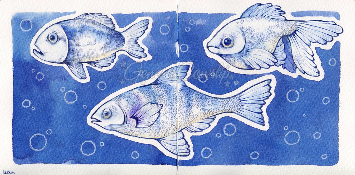 GeneralCowslip tweet media