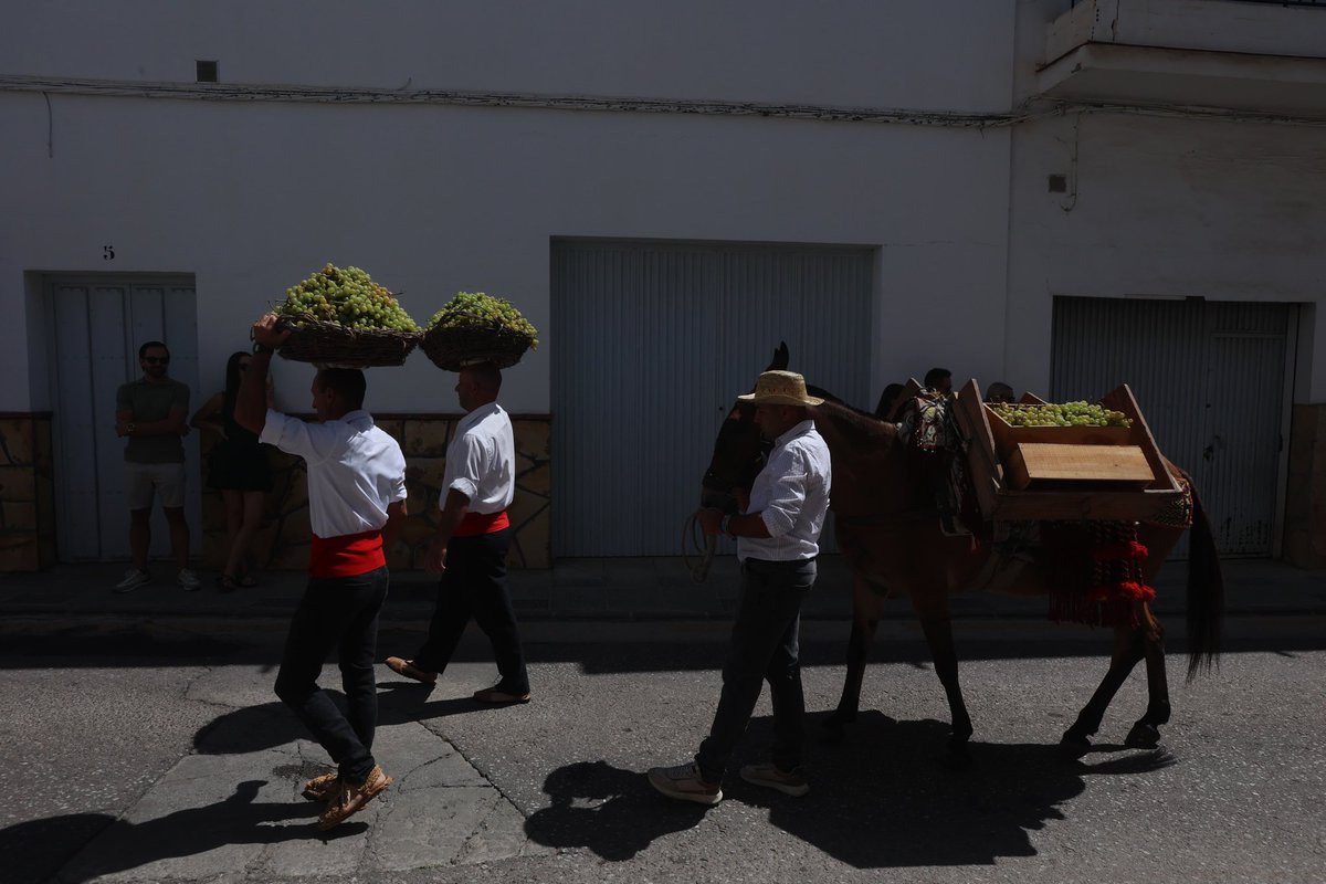 El vino moscatel era uno de los favoritos de la zarina de Rusia Catalina la Grande y se ha convertido en una imagen de marca y reclamo de la #Axarquía, donde cada año se dan cita miles de personas para disfrutar de la gastronomía, la cultura y el flamenco. 
📸 <a href="/lorenzocarnero1/">Lorenzo Carnero</a>