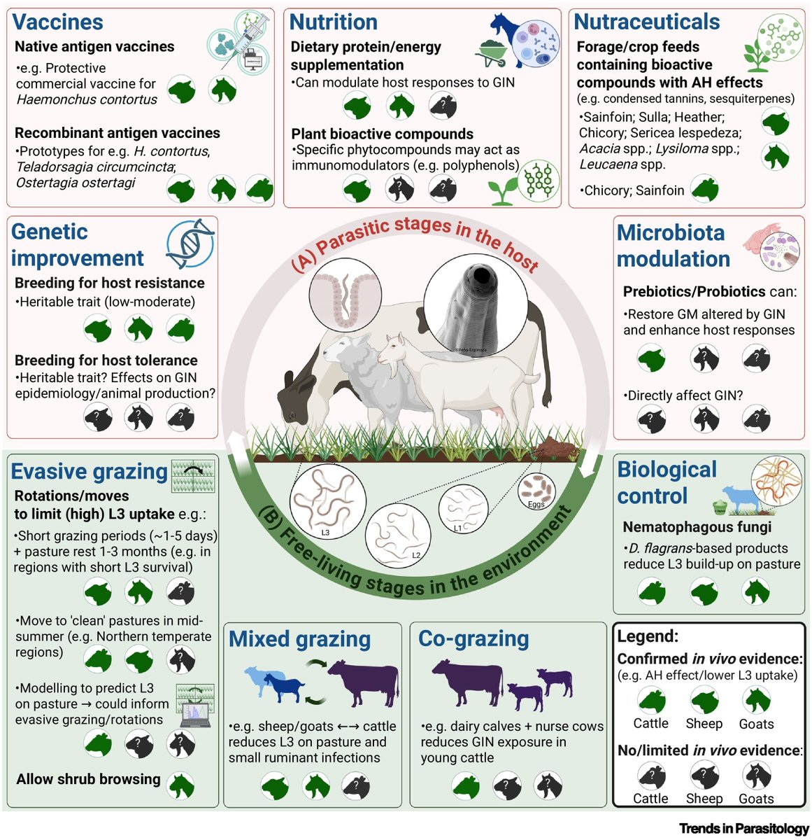 Drs Miguel Peña-Espinoza <a href="/HannahVineer/">Hannah Rose Vineer</a> <a href="/adhayward18/">Adam Hayward</a> Andrew Williams, Tom McNeilly &amp; Stig Thamsborg review non-chemotherapeutic approaches for #gastrointestinal #nematode control in #ruminants. <a href="/LivUni_IVES/">Inst of Infection Veterinary & Ecological Sciences</a> <a href="/LivUni/">University of Liverpool</a> <a href="/MoredunComms/">The Moredun Foundation</a> <a href="/UCPH_Research/">University of Copenhagen Research</a>

cell.com/trends/parasit…