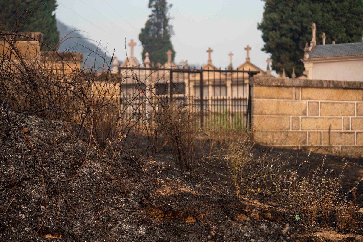 iRolan_11's tweet photo. Esta son una muestra de las muchas consecuencias que tuvo, y sigue teniendo, el incendio que comenzó en A Granxa, Oímbra, hace 3 días.

© Íñigo Rolán https://t.co/OQAQLlsgAv