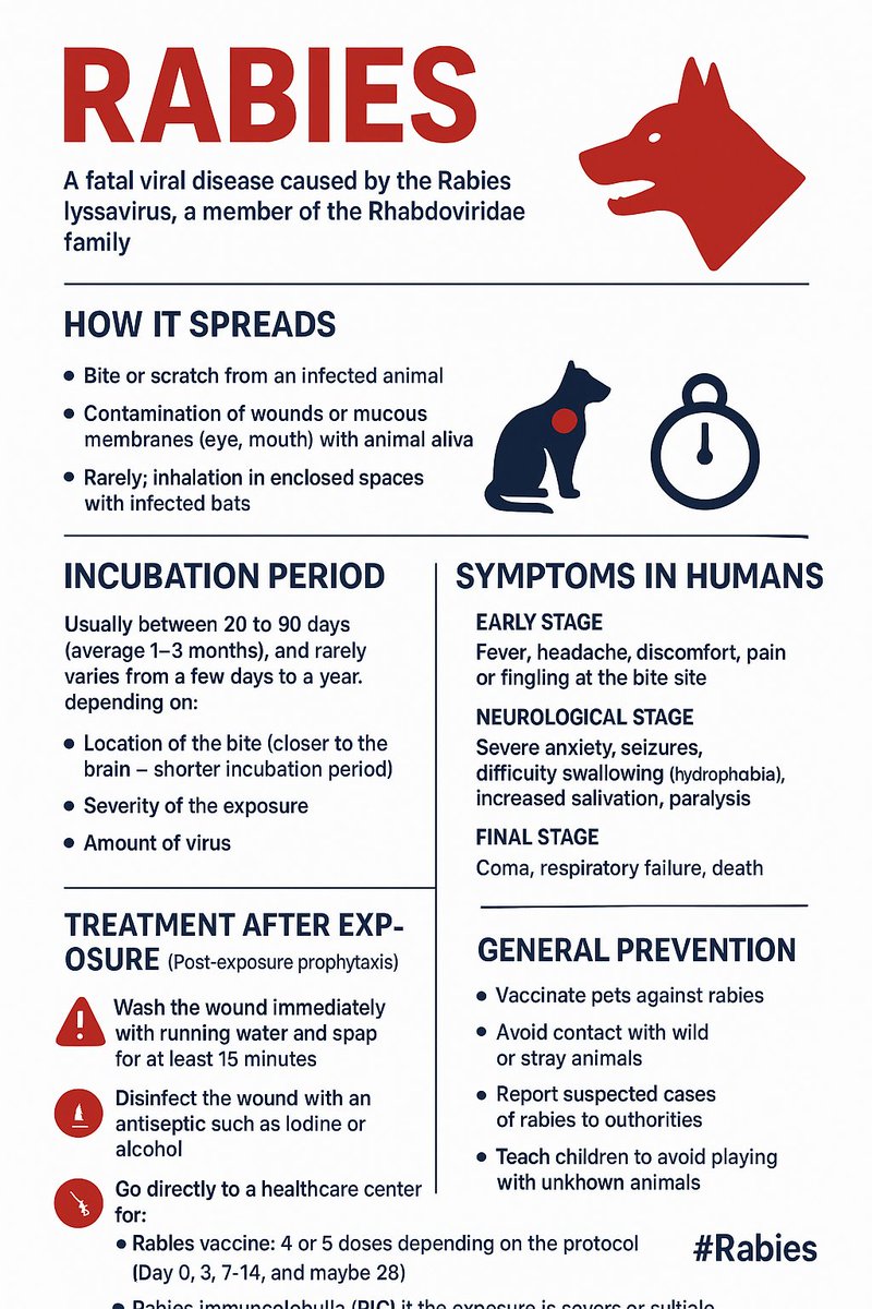 hamedabdul1's tweet photo. Rabies 
#Rabies #RabiesVirus #RabiesLyssavirus #Rhabdoviridae #PublicHealth #InfectiousDiseases #ViralInfections #RabiesPrevention #RabiesAwareness #Vaccination #PostExposureProphylaxis #MedicalEducation #ZoonoticDiseases #GlobalHealth #HealthAwareness https://t.co/5m21YrHKSG