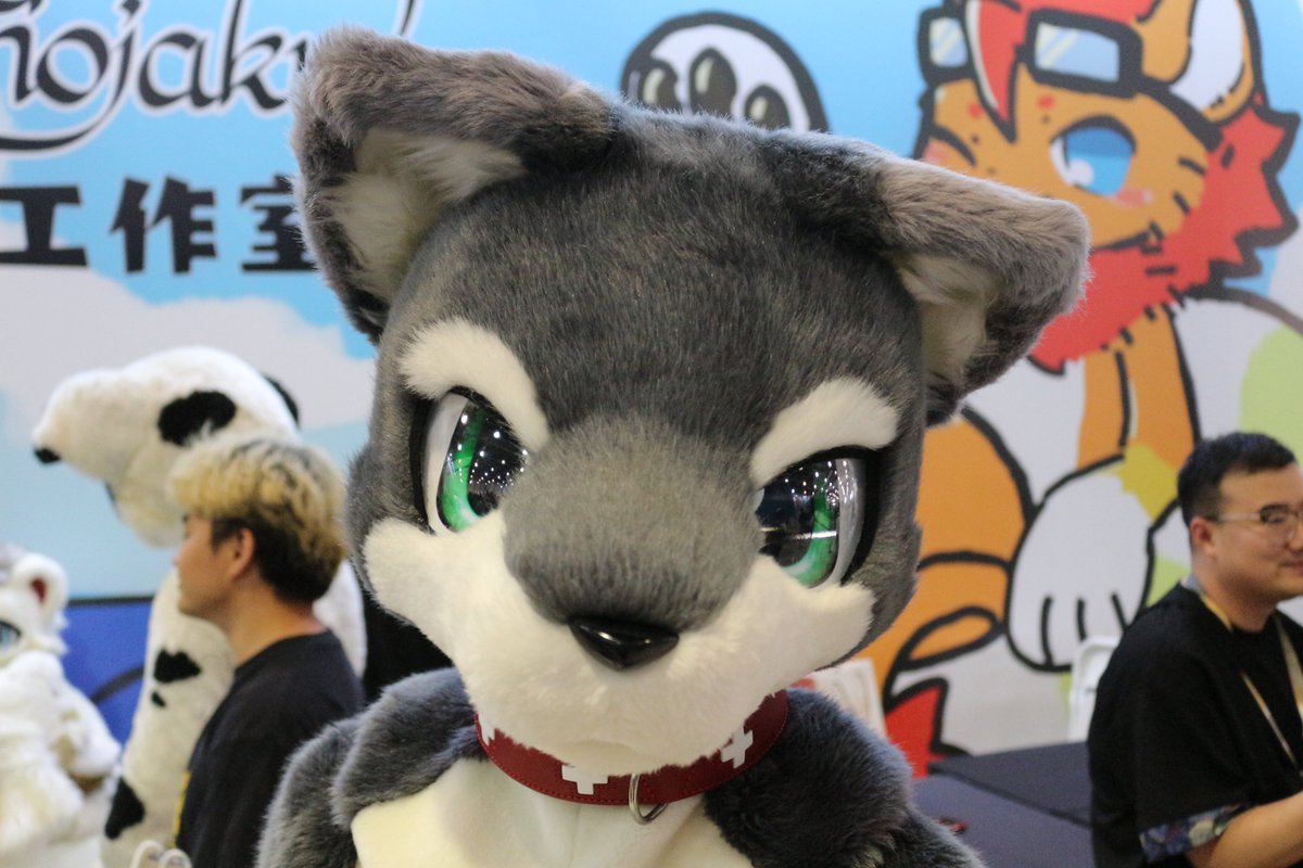 koimei2's tweet photo. @tannfoto #SFF2025 #极兽聚　
スート 00650 https://t.co/tOPX75hIGh