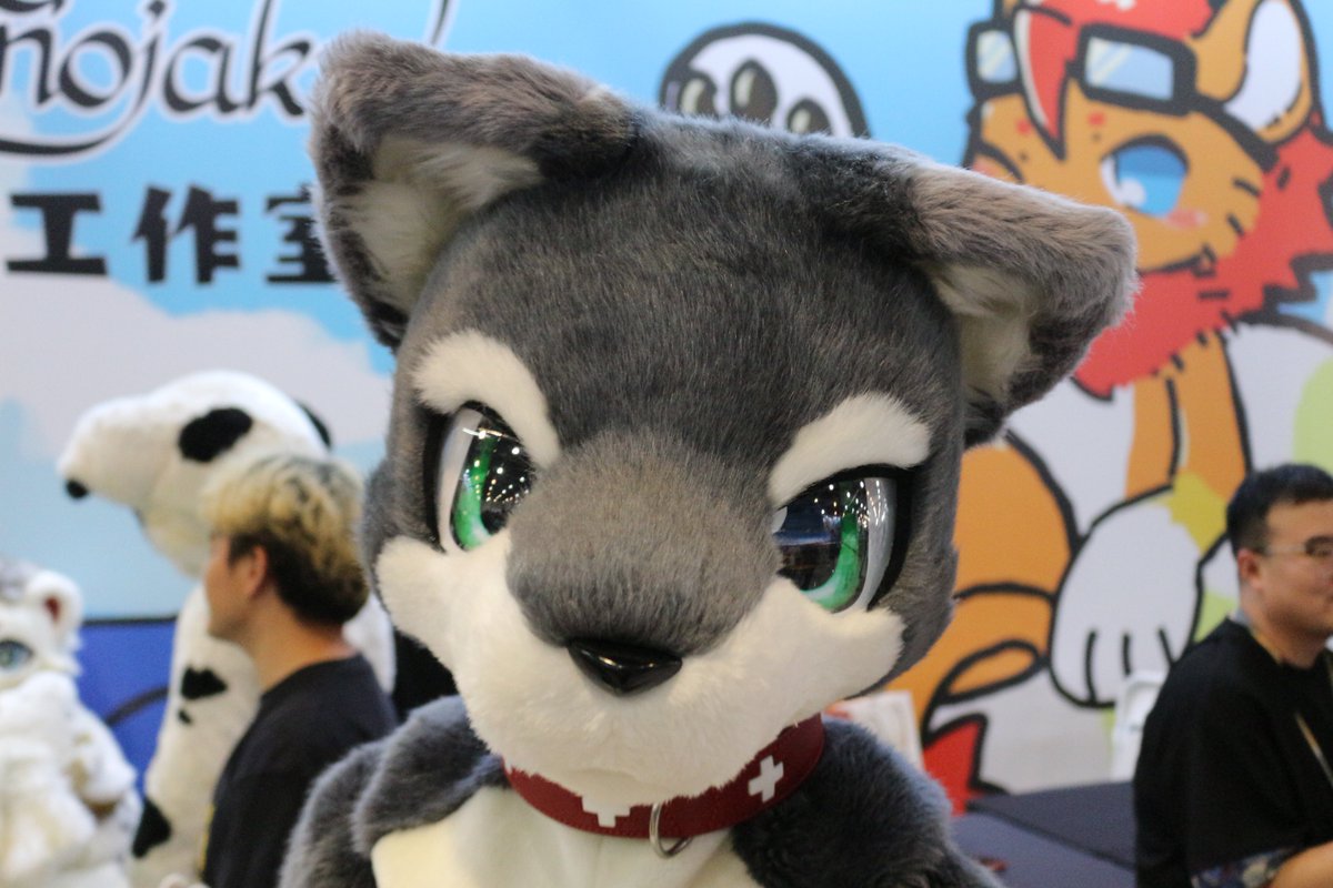 koimei2's tweet photo. @tannfoto #SFF2025 #极兽聚　
スート 00650 https://t.co/tOPX75hIGh