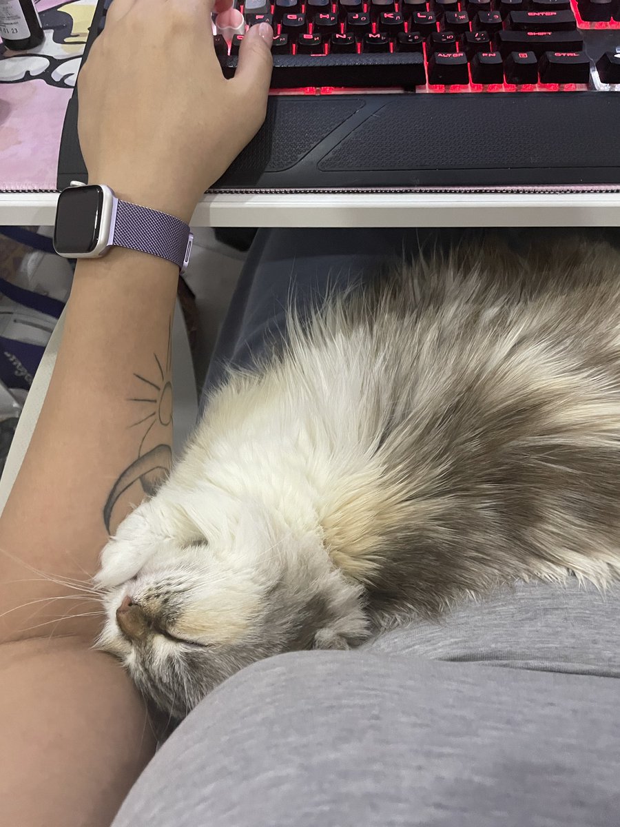 Муж разговаривает с Бьянкой: чего ты хочешь? Мяу? Нет, это тебе не ко мне, это к маме, в отдел любви и обожания. У нас тут финансовый департамент. 

Пришлось отделу любви и обожания взять жалобу  в свои руки)