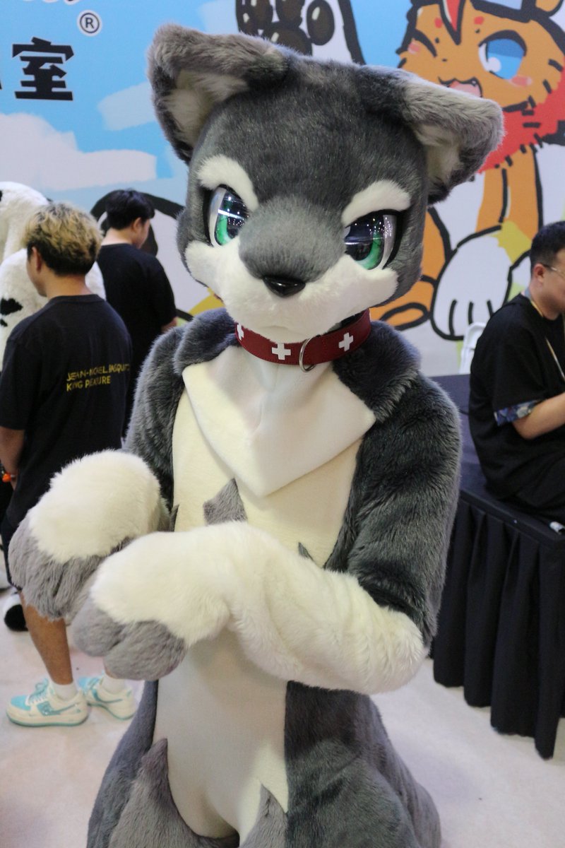 koimei2's tweet photo. @tannfoto #SFF2025 #极兽聚　
スート 00650 https://t.co/tOPX75hIGh