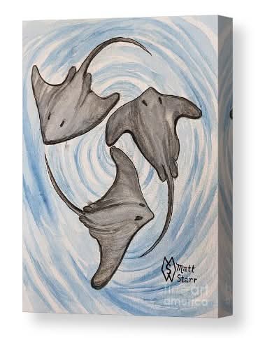 MattStarrFineA1's tweet photo. This is my watercolor and ink painting of some sting rays swimming in a whirlpool. https://t.co/6DTV2jQ2W0 

#mattstarrfineart #art #paintings #ArtForSale #stingray #stingrays #ray #rays #devilray #devilrays #mantaray #mantarays #whirlpool #ocean  #creature #stinger #florida https://t.co/0nWQuKiFe8