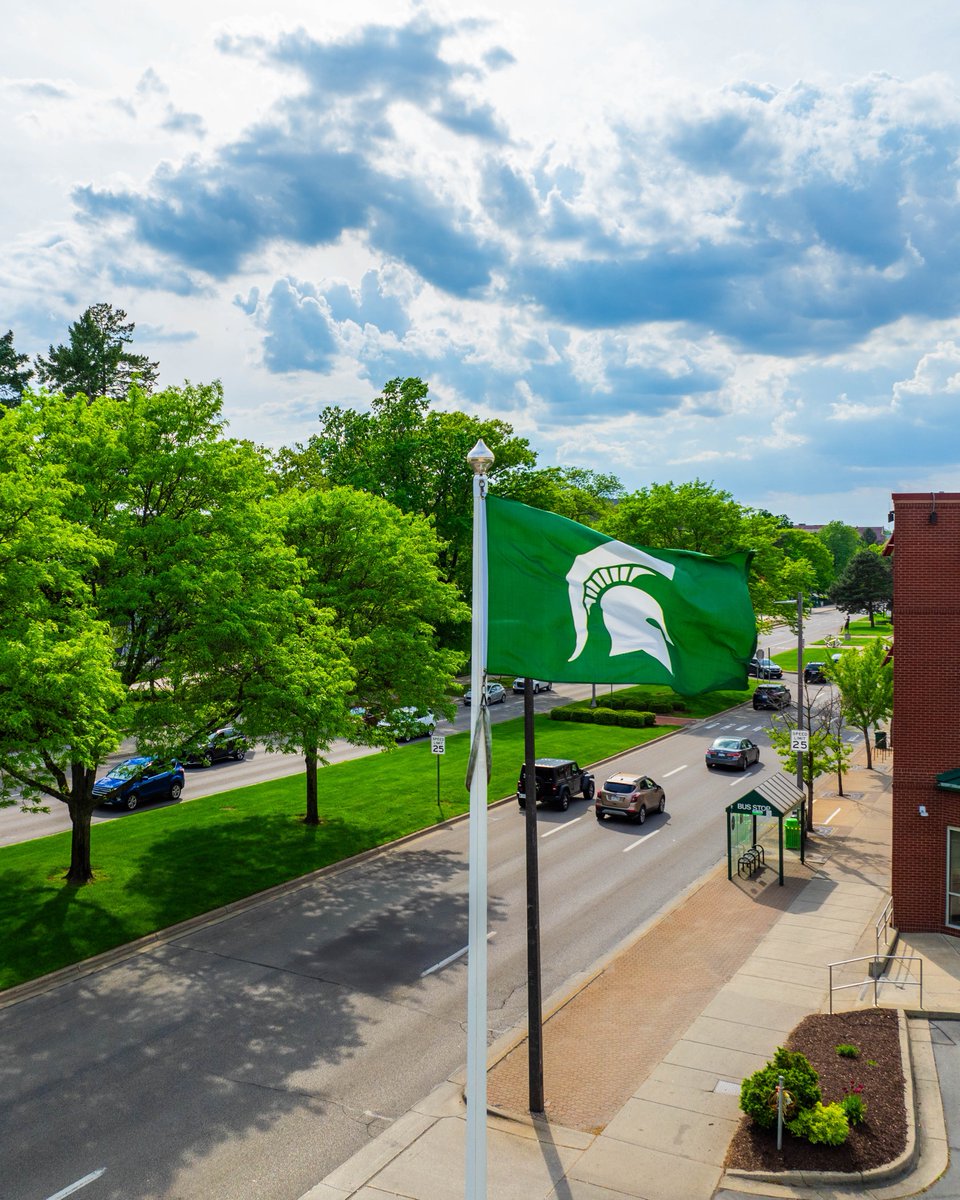 Green and White, always.