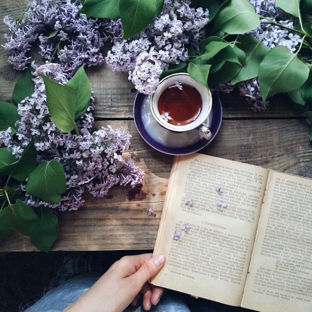 Buen día, librófilos