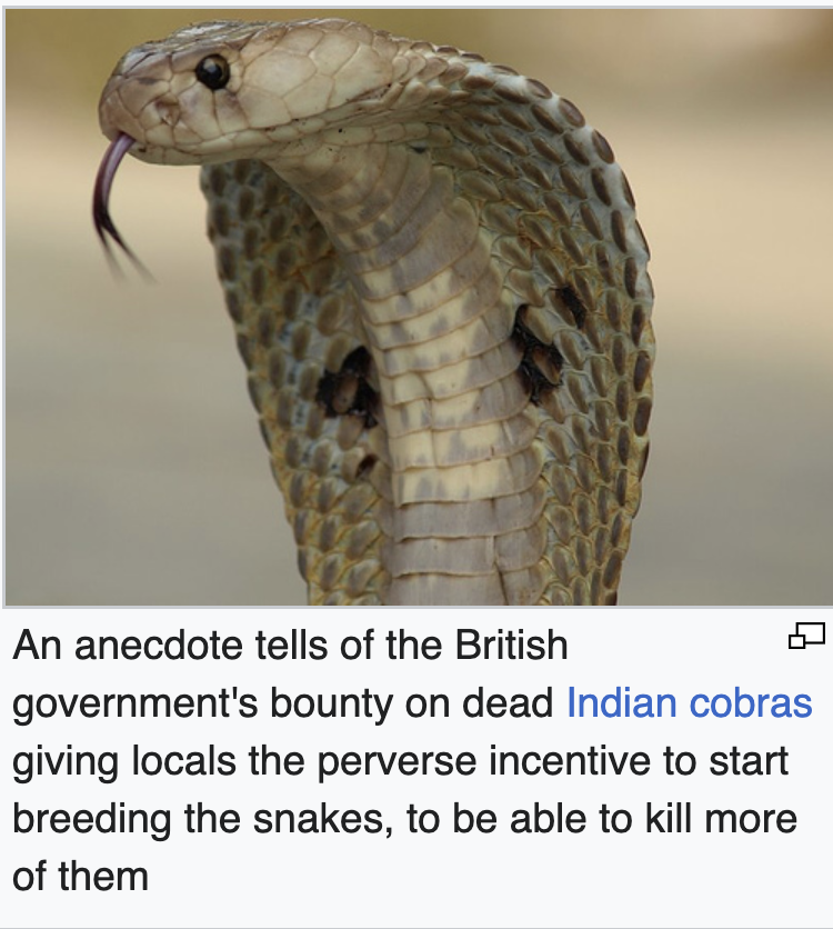 Bounty programs to get rid of invasive species

United States  //  India