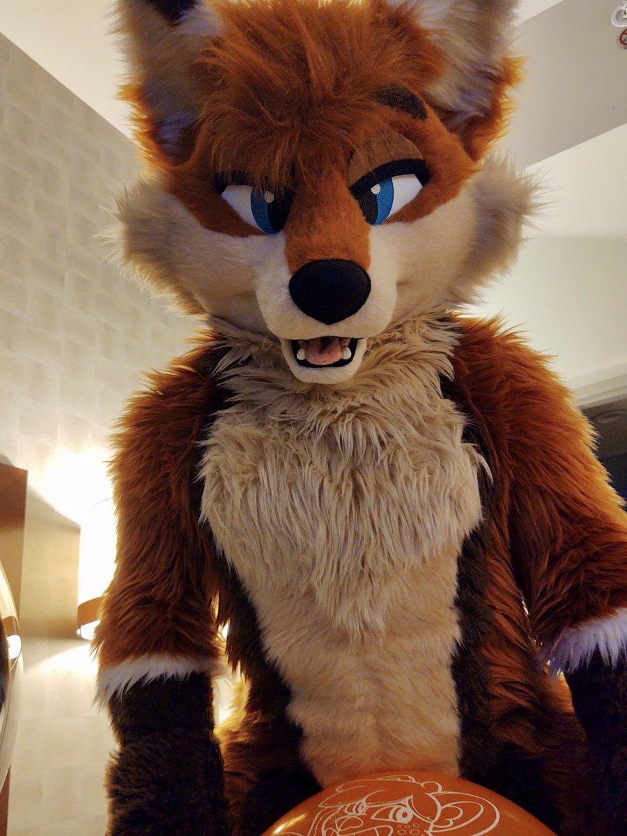 🦊Arthur🦊 tweet media