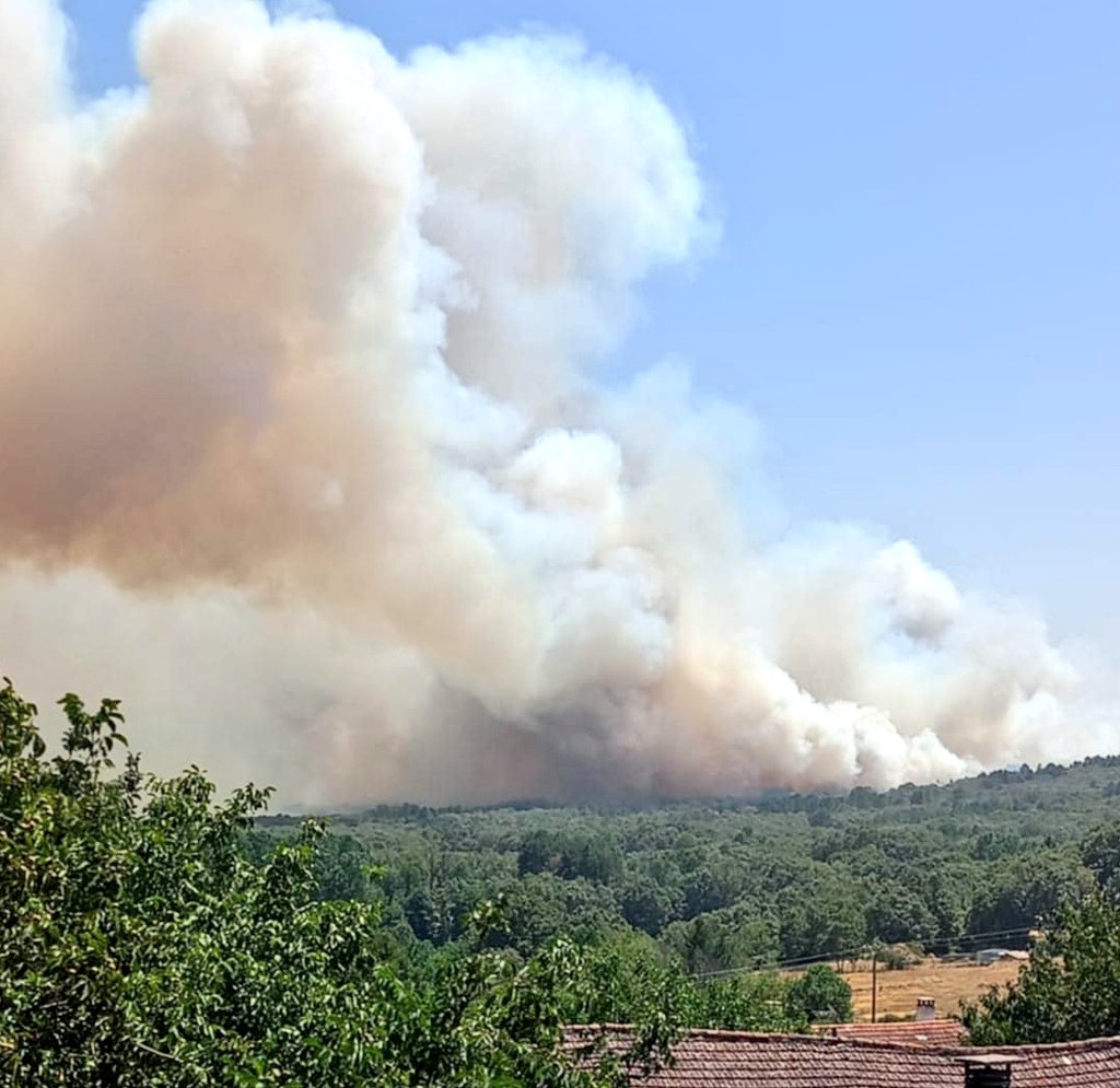 Meteo_Mirobriga's tweet image. Nuevas imágenes 📸del incendio 🔥en El Payo. Mala evolución ‼️👇

#IFElPayo #Salamanca 

@AT_Brif @METEOYAYI @WildlandFirefig