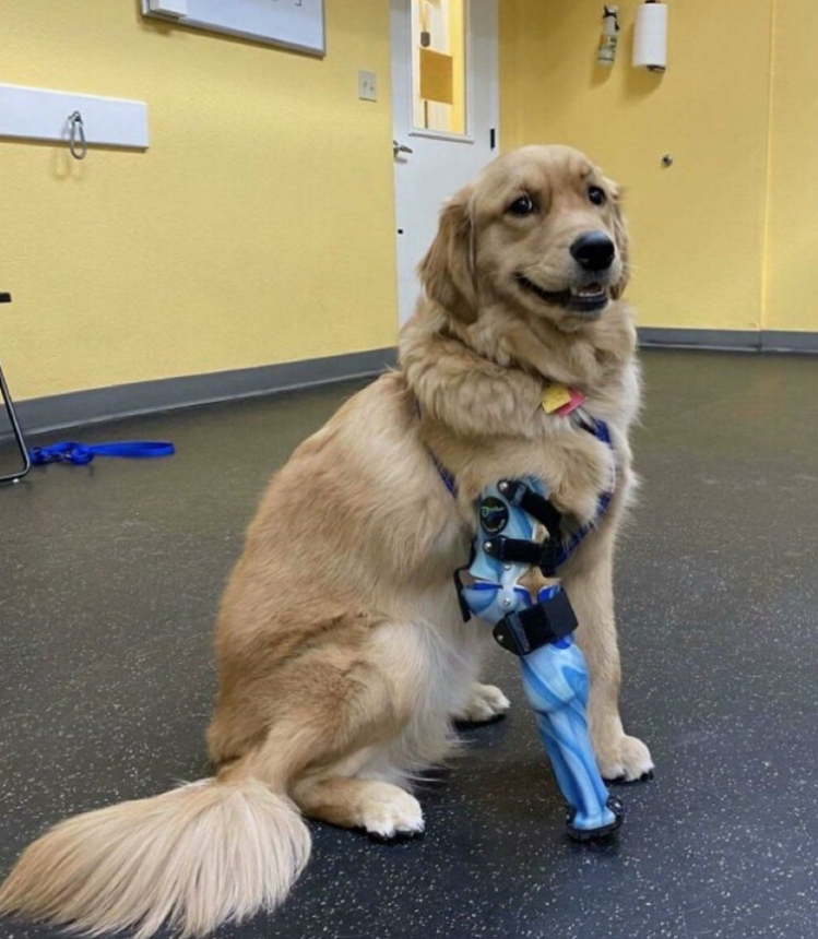 Please don’t pass without leaving a heart ❤️